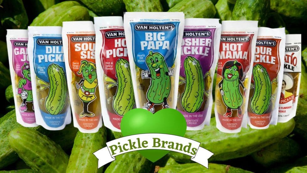 The Ultimate Pickle Brands Available In A Pouch