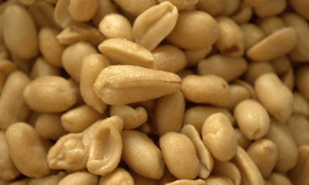 Discover the Amazing Health Benefits of Peanuts