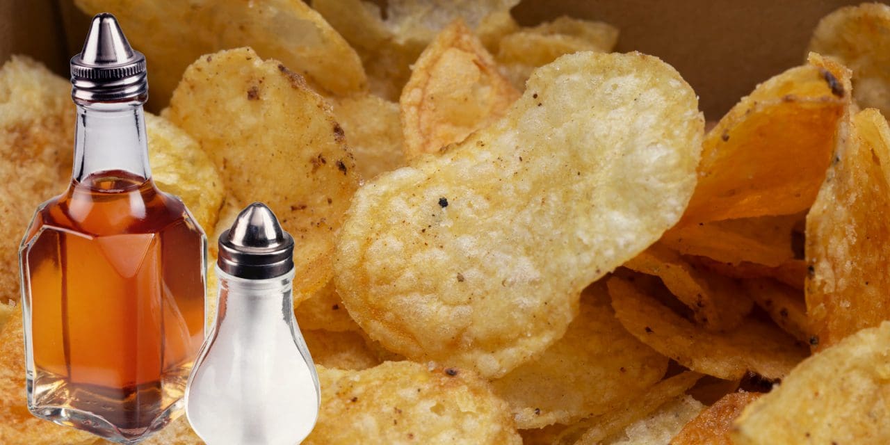 Top 20 Best Salt and Vinegar Chips In the USA