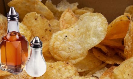 Top 20 Best Salt and Vinegar Chips In the USA