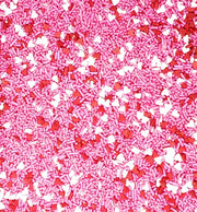 Candy Retailer Valentine Heart Shaped Mix Cupcake Sprinkles 4 oz.