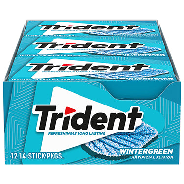 Trident Sugar Free Gum Wintergreen 12ct Box