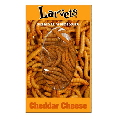 Hotlix Larvets Snax Cheddar Cheese 1.4oz Expires June 19th 2025