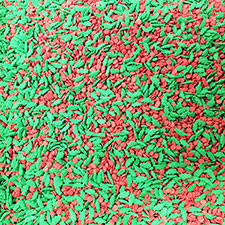 Candy Retailer Christmas Leaves and Berries Cupcake Sprinkles 4oz