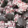 Reppert's Dark Chocolate Peppermint Crunch Drops 1lb