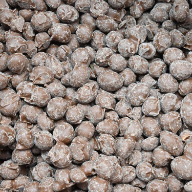 Zachary Milk Chocolate Covered Double Dipped Peanuts 1 Lb